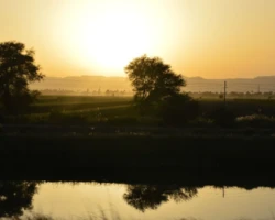 CD-Fotografie-Nilstimmung CD-Fotografie-Nilstimmung