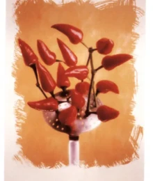 CD-Tabasco-Stileben CD-Tabasco-Stileben